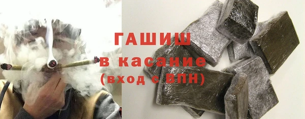 индика Кинешма