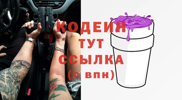 индика Кинешма