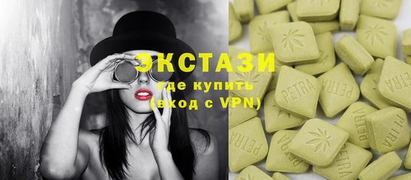 индика Кинешма