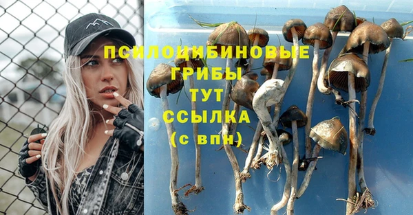 ПСИЛОЦИБИНОВЫЕ ГРИБЫ Киренск