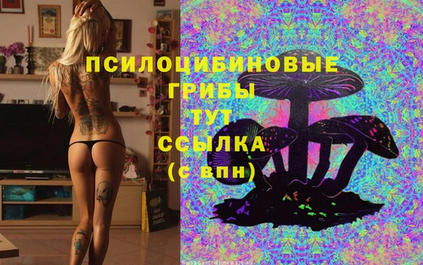 трава Касимов