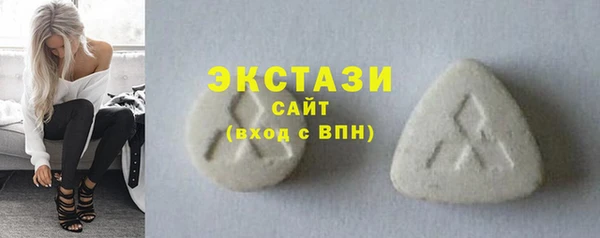 индика Кинешма