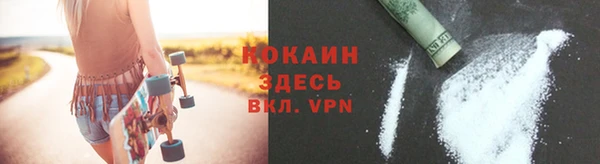 индика Кинешма