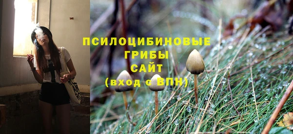 тгк Козельск