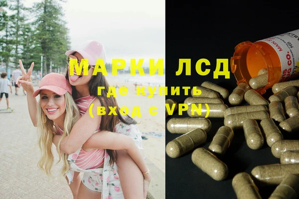 ПСИЛОЦИБИНОВЫЕ ГРИБЫ Киренск