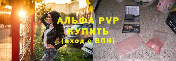 индика Кинешма