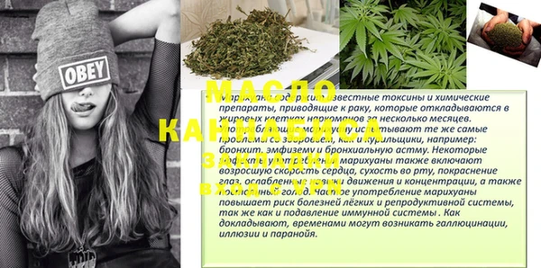 индика Кинешма