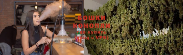 ПСИЛОЦИБИНОВЫЕ ГРИБЫ Киренск
