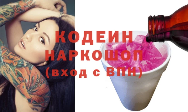 индика Кинешма