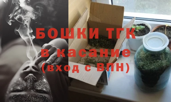 индика Кинешма