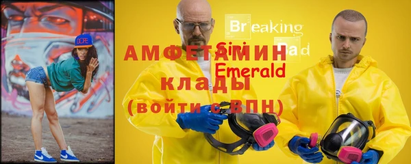 индика Кинешма